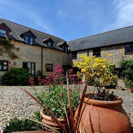 Rose Cottage Musbury Kültér fotó
