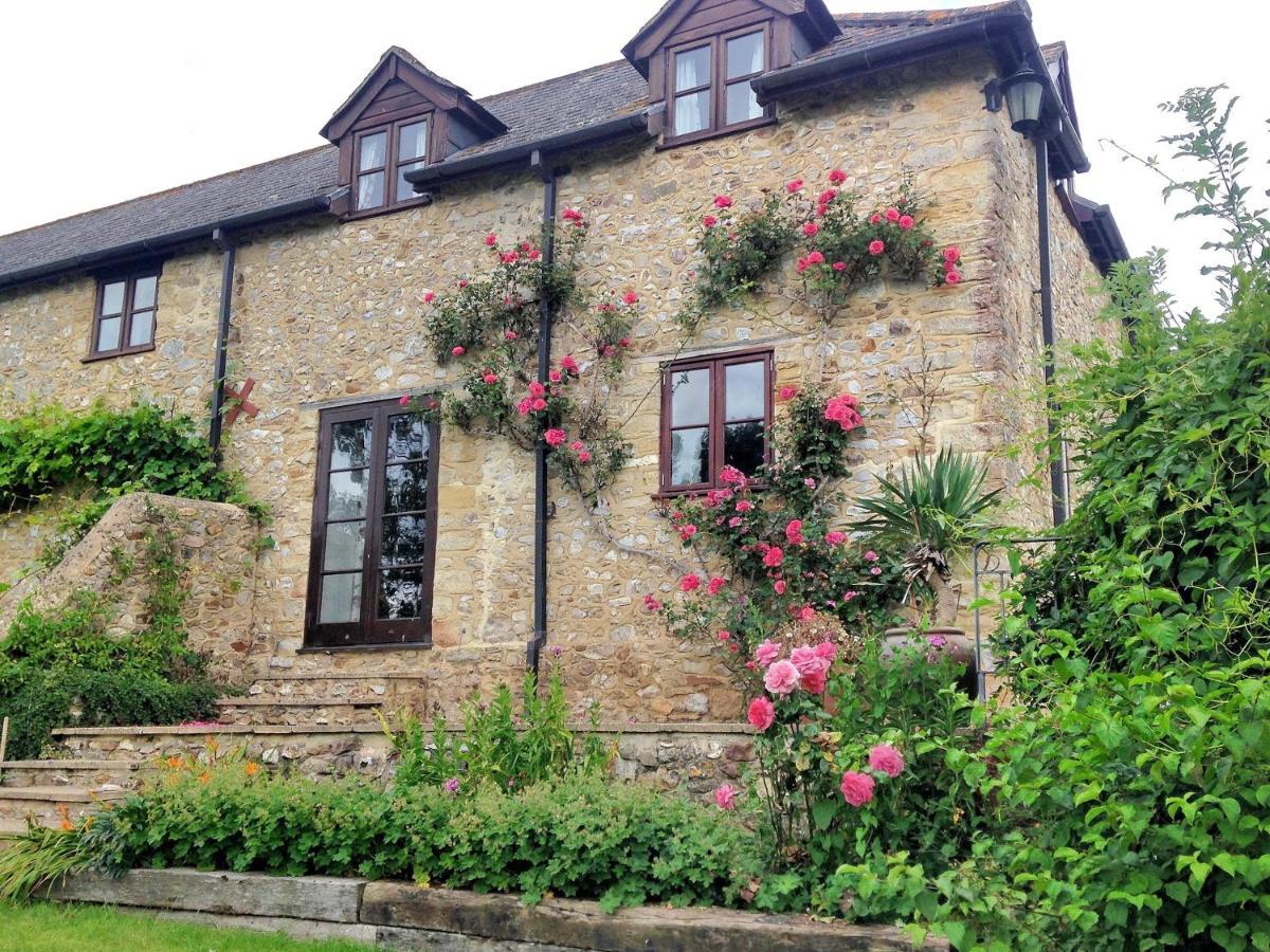 Rose Cottage Musbury Kültér fotó