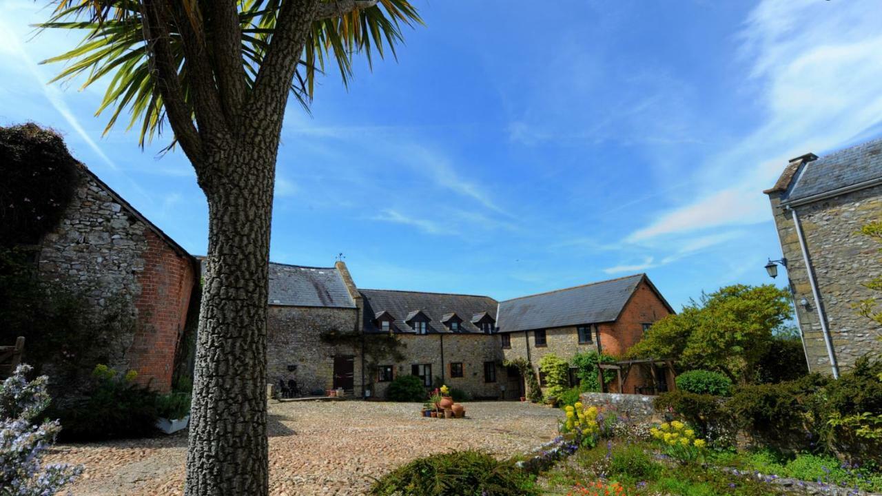 Rose Cottage Musbury Kültér fotó